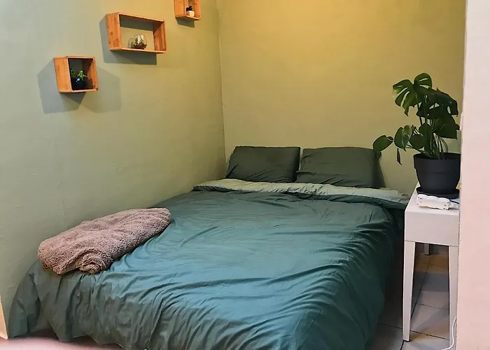 Chambre Privative Au Coeur De Liege Maison D Hote Chez L Habitant